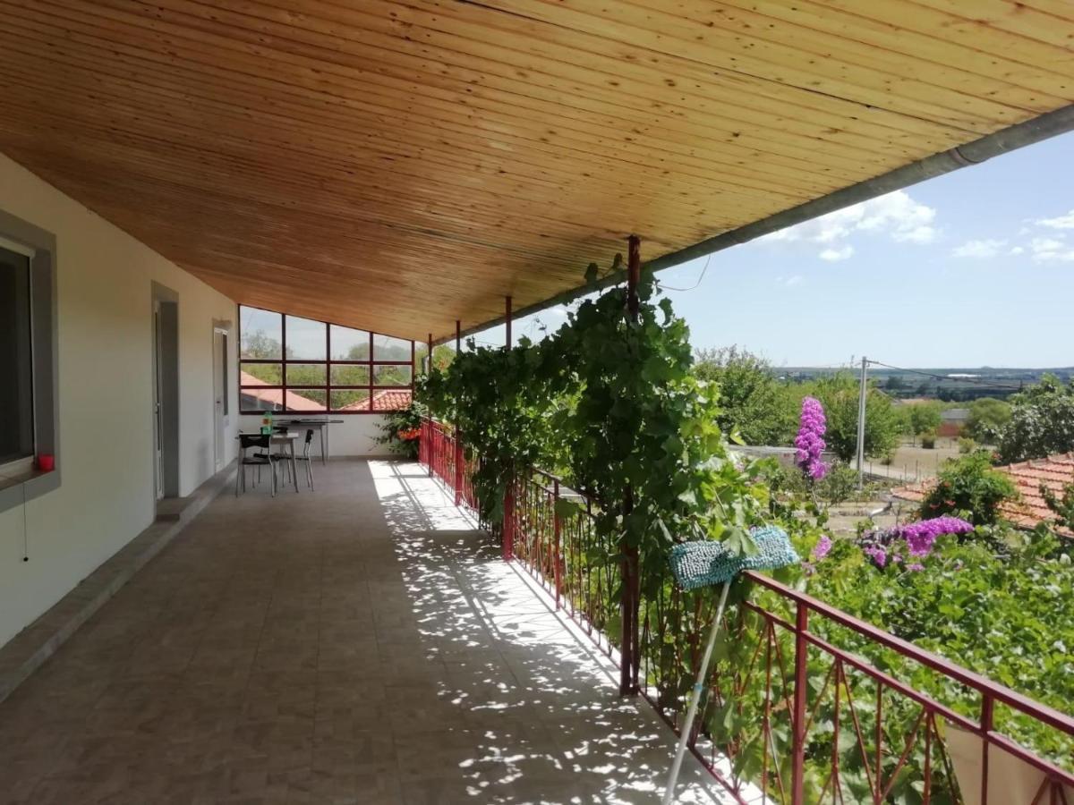 Apartamento Elena Benkovac Exterior foto